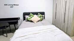Malaysia Park (D14), Terrace #614454671